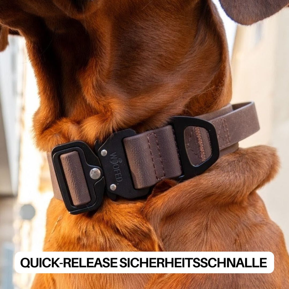 "Verstellbares WOOFLEX® Halsband für Hunde mit sicherem, schwarzem Verschluss und praktischem Griff."