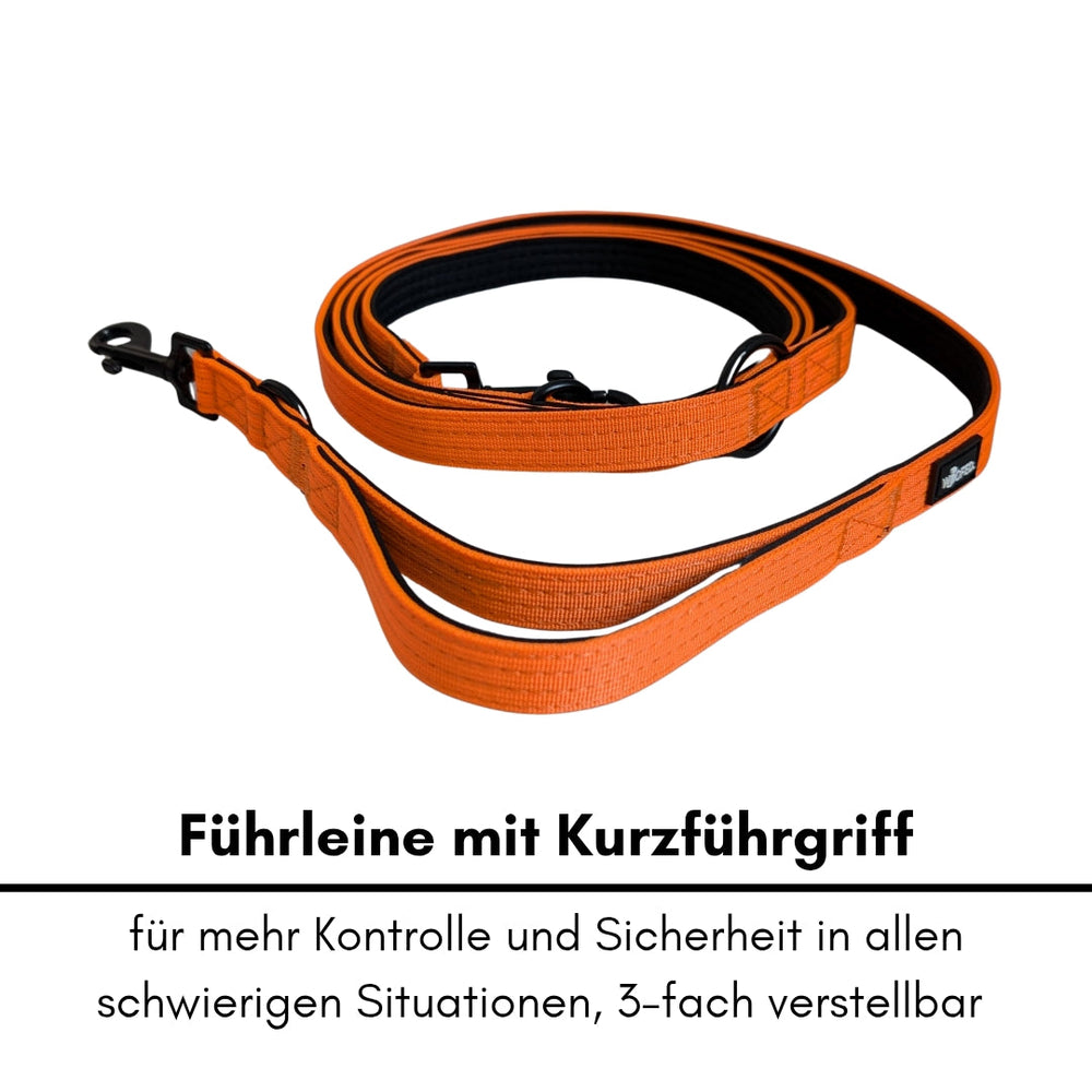 Dreifach verstellbare, orange Nylon Hundeleine mit kurzem Griff für optimale Kontrolle und Sicherheit.
