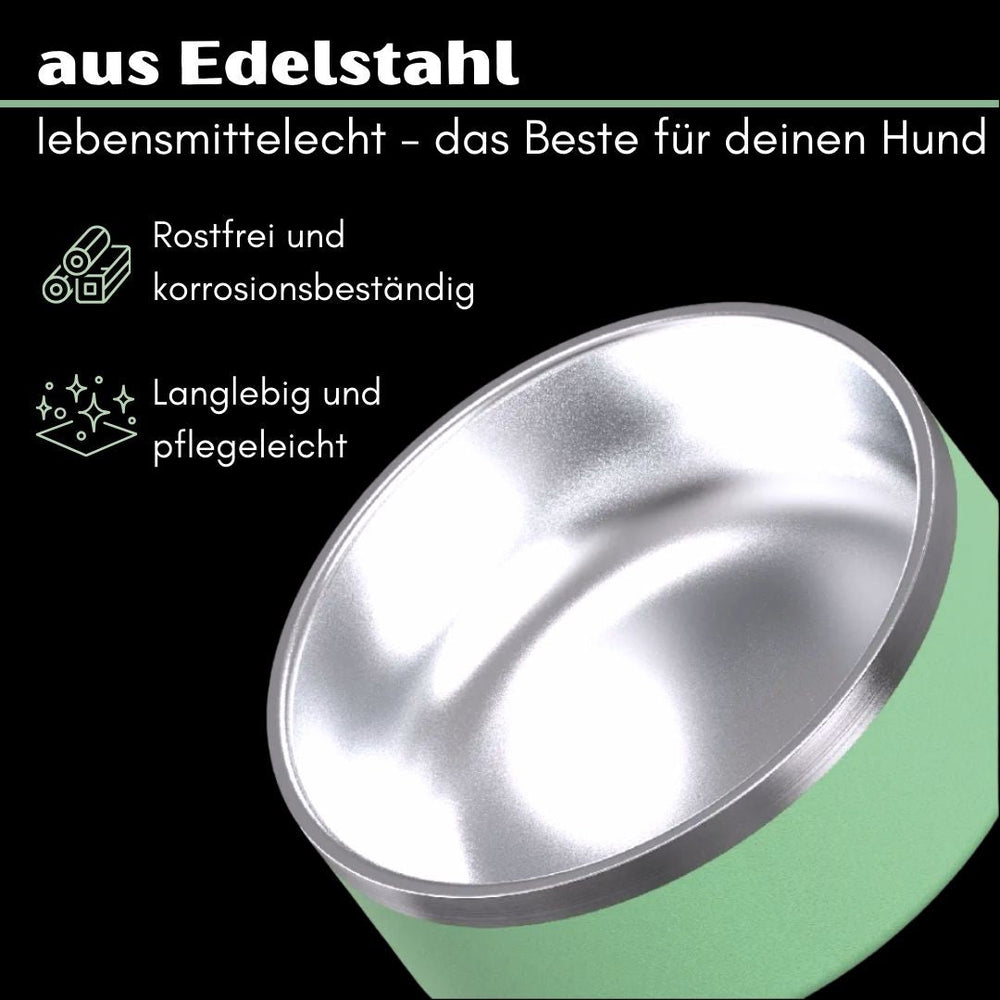 Premium Edelstahl-Hundenapf in grün, rostfrei und korrosionsbeständig, ideal für gesunde Tierernährung.
