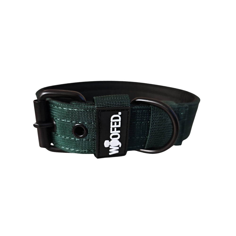 Nylon Classic Halsband in dunklem Grün mit stabiler Schnalle und D-Ring für sicheren Leinenanschluss und hohen Tragekomfort.