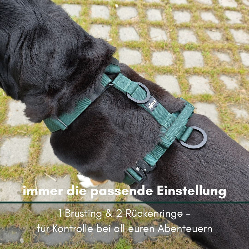 "Y-Hundegeschirr in grün mit Griff, Schnallen und zwei Rückenringen für optimale Kontrolle beim Gassigehen."