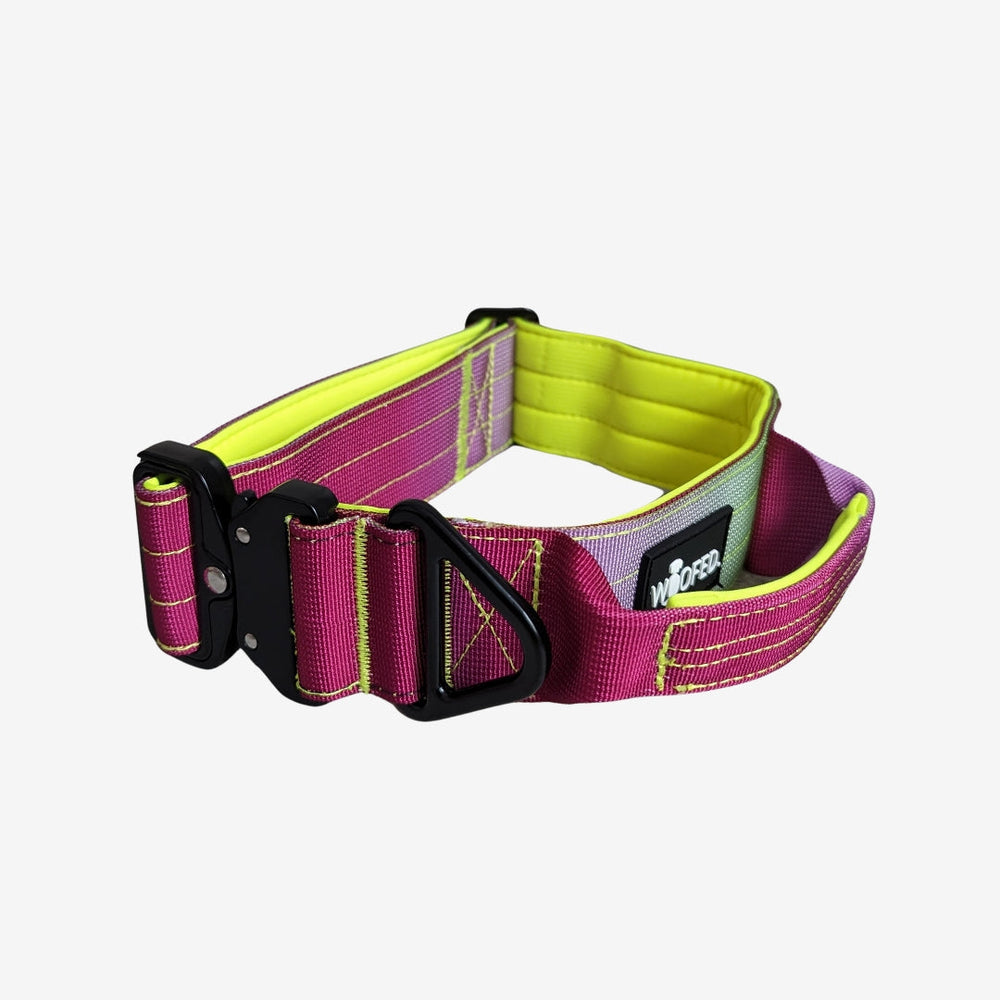 Taktisches Nylon Halsband mit Griff in Pink und Gelb für aktive Hunde, robust, gepolstert und sicher mit Metallverschluss.