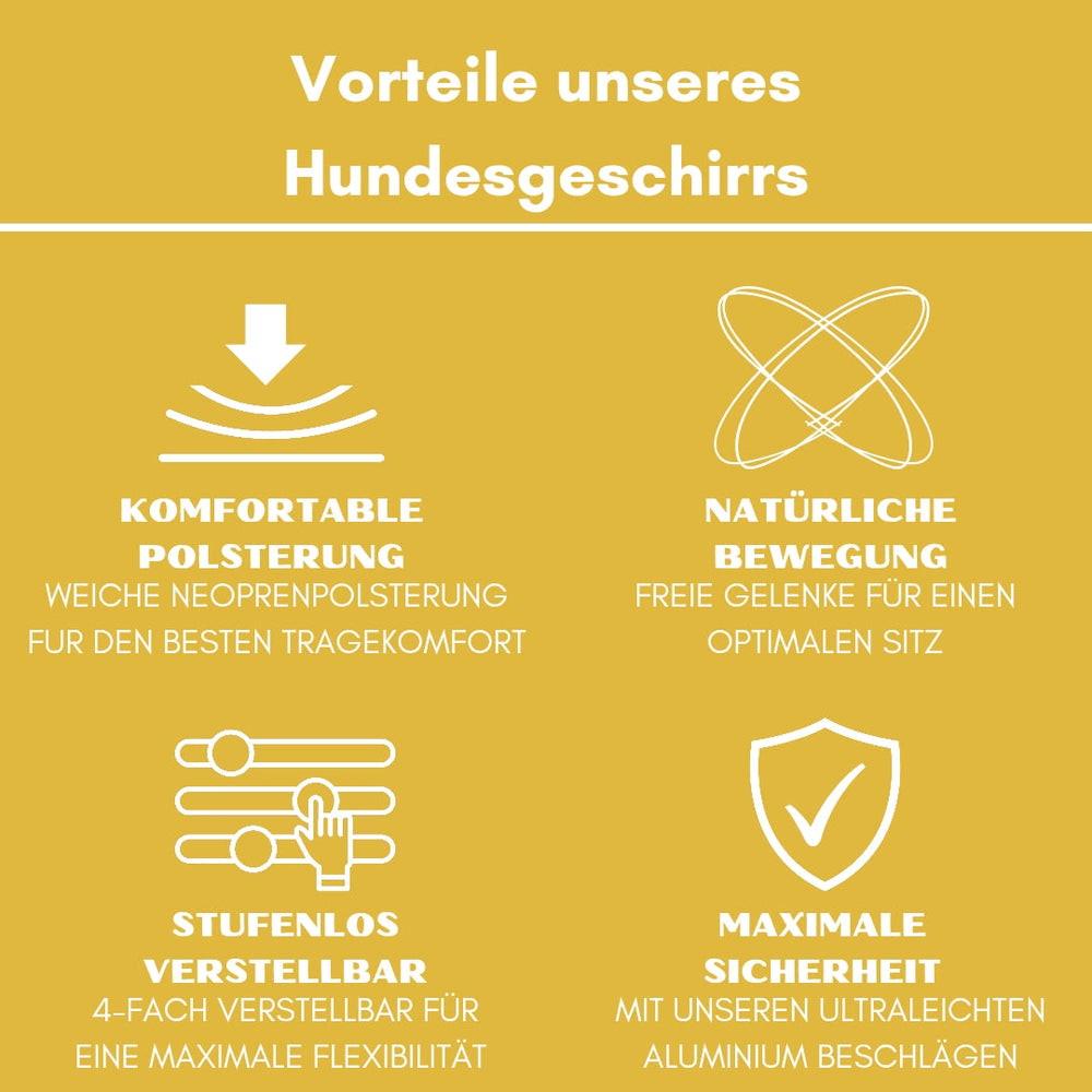 Y-Hundegeschirr mit komfortabler Neopren-Polsterung für optimalen Tragekomfort und sichere Kontrolle.