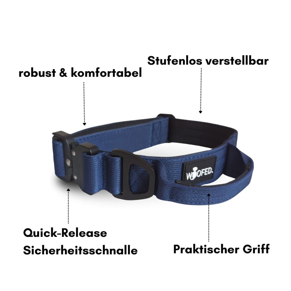 Ultraleichtes blaues Nylon Halsband-Leine-Set für Hunde mit verstellbarer Größe und praktischen Griff.