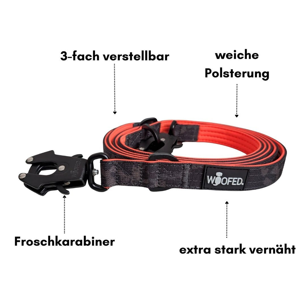 Verstellbares Hundehalsband aus Nylon mit weicher Polsterung und robustem Froschkarabiner in stilvollem Design.