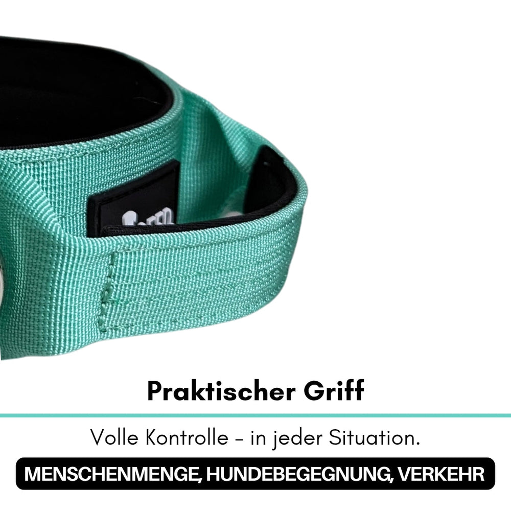 Türkisfarbener Griff an einem Nylon-Halsband für kleine Hunde, ideal für bessere Kontrolle in Menschenmengen.