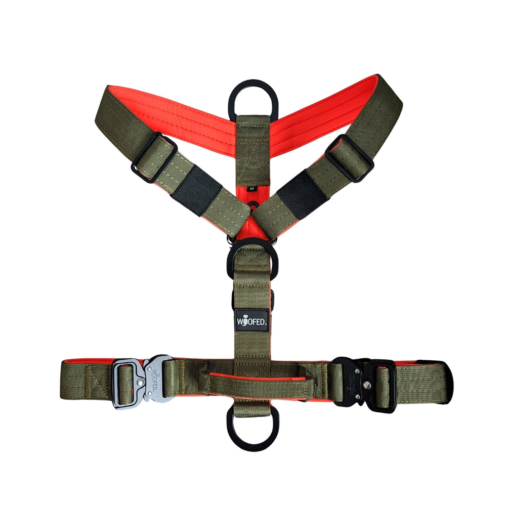 Y-Hundegeschirr mit Griff in grün-rotem Design, verstellbare Riemen und stabile Schnallen für optimalen Sitz.