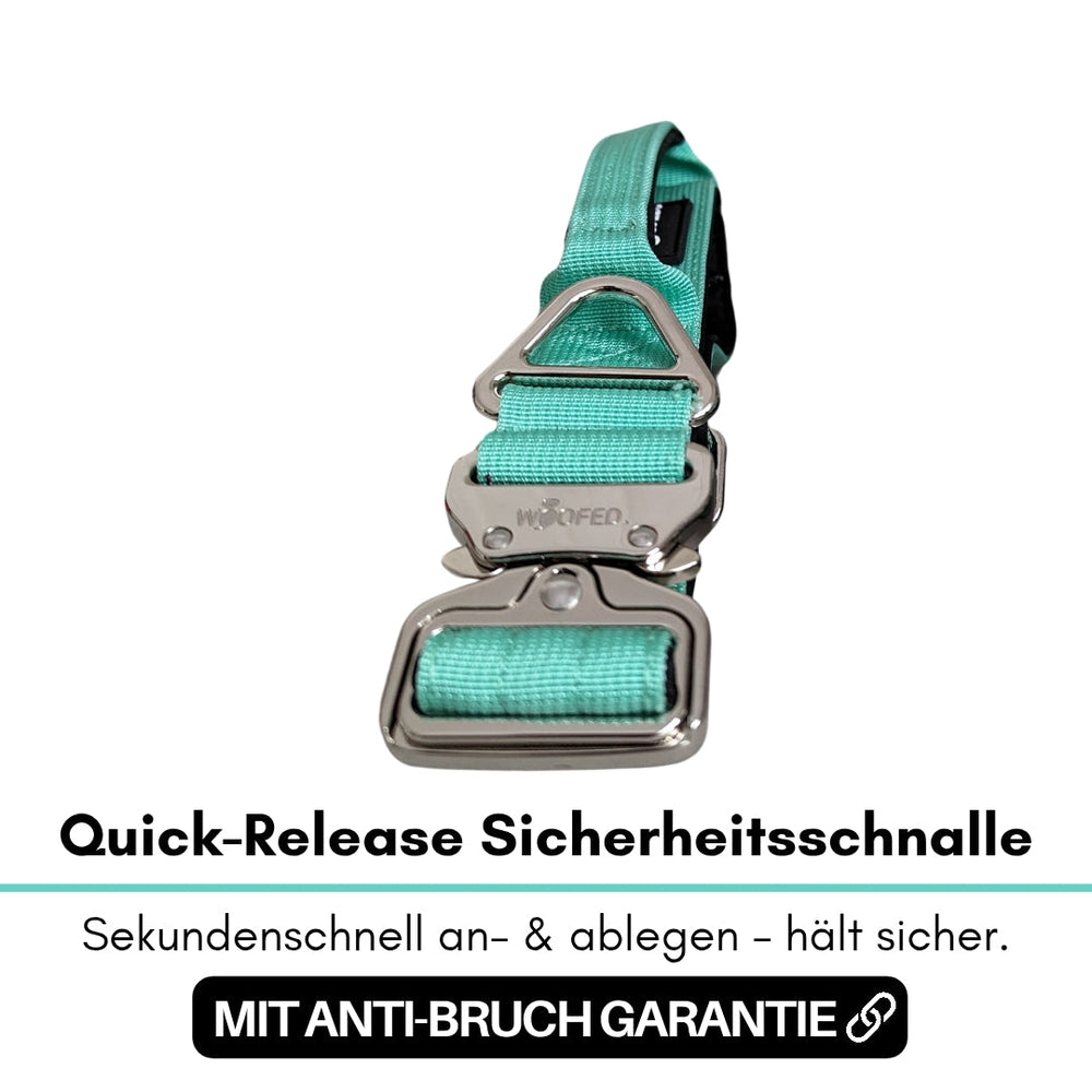Halsband für kleine Hunde mit mintgrüner Quick-Release Schnalle und robustem Aluverschluss, einfach zu handhaben.