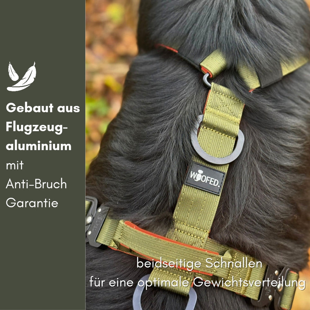 Hund im Y-Geschirr aus Flugzeug-Aluminium mit Griff, sichere Schnallen und Anti-Bruch-Garantie für optimale Gewichtsverteilung.