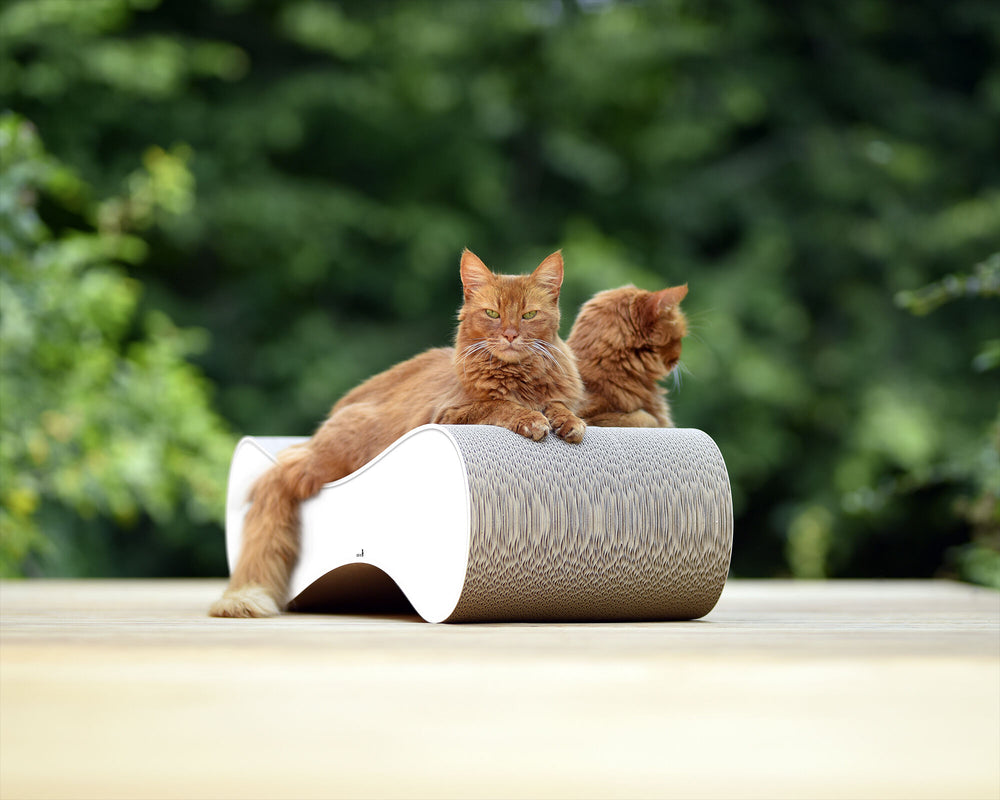 weiß mit Rand (000) - Bild 3