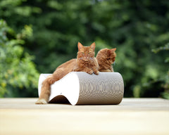 weiß mit Rand (000) - Bild 3