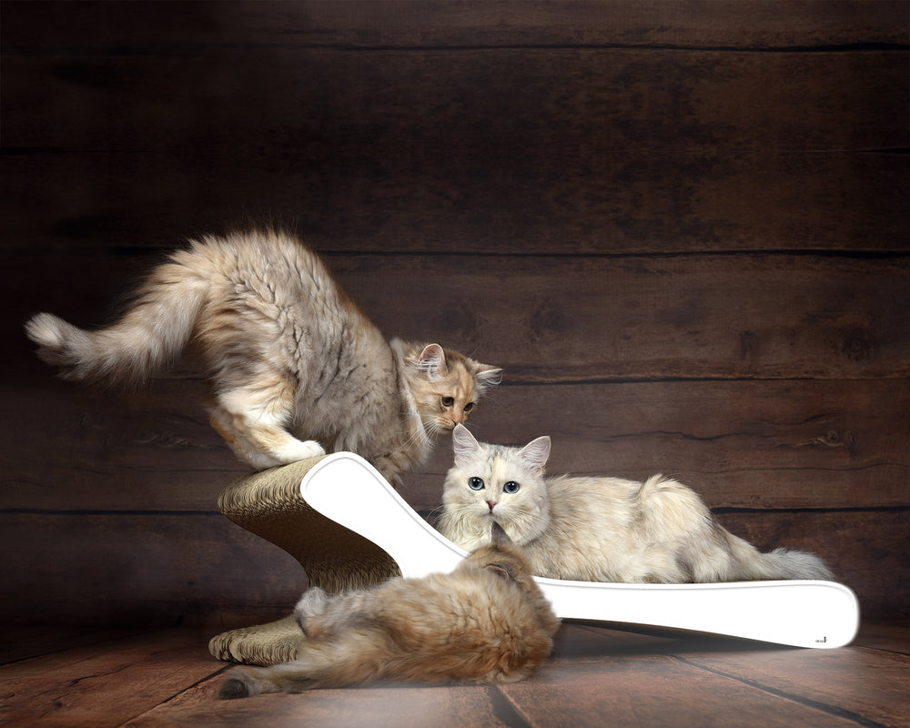 weiß mit Rand (000) - Bild 1