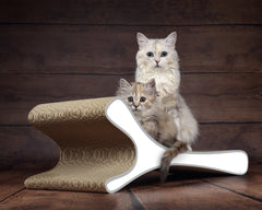 weiß, grauer Rand (000d) - Bild 2