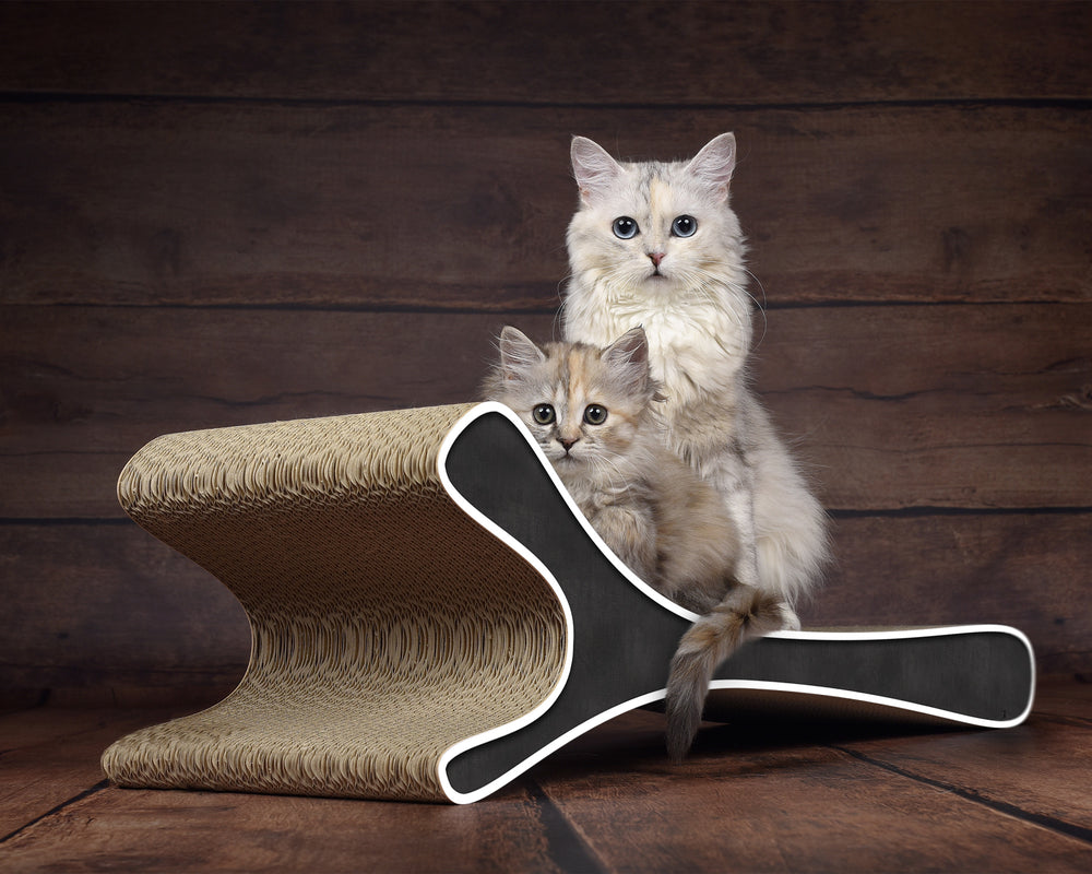 schwarz, weißer Rand (000g) - Bild 1