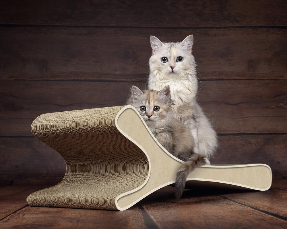 hellbeige (005f) - Bild 2