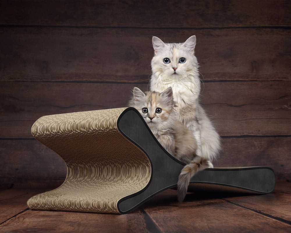 schwarz, meliert (013) - Bild 2