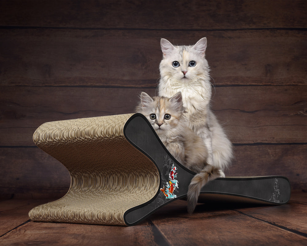 schwarz, Koi (035) - Bild 1