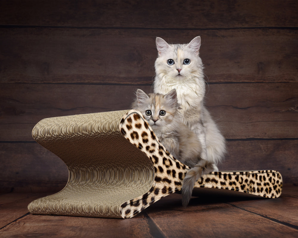 gepard (052) - Bild 1