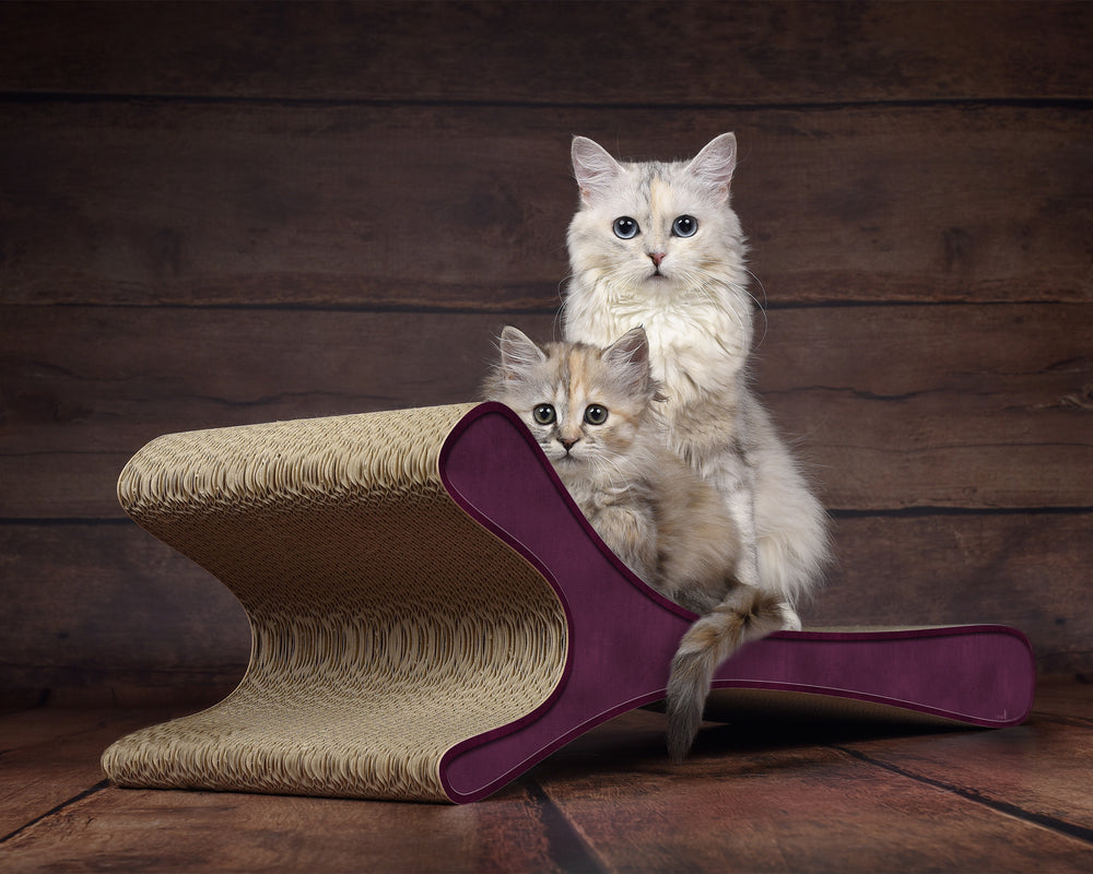 violett (070) - Bild 1