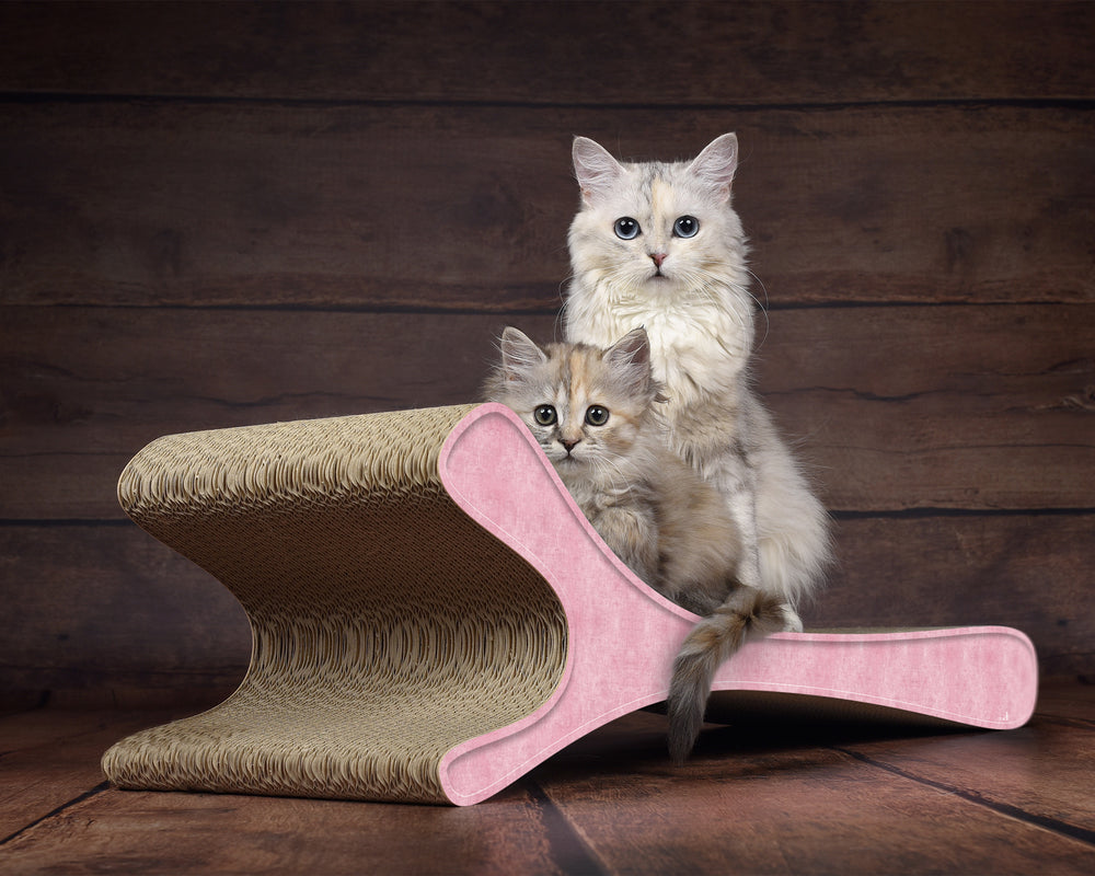 hellrosa (205) - Bild 2