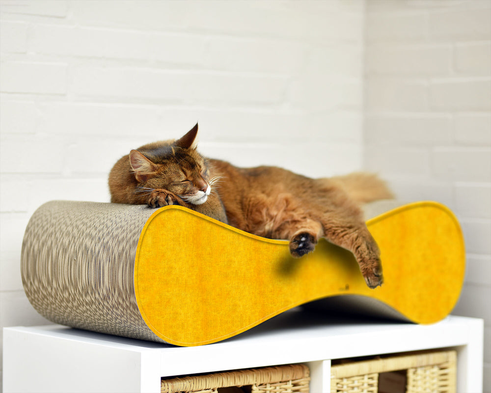 dunkelgelb (004e) - Bild 4