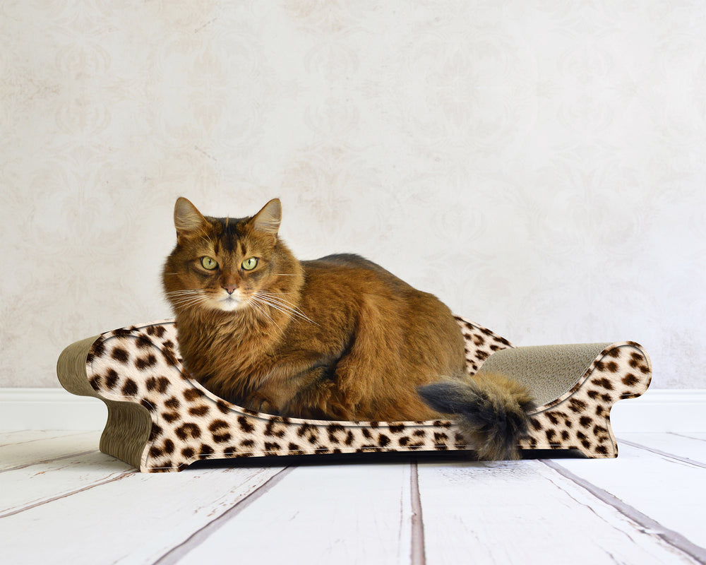 gepard (052) - Bild 2