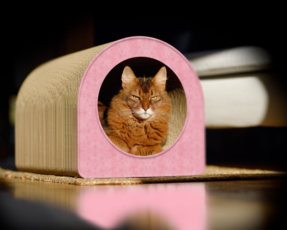 hellrosa (205) - Bild 4