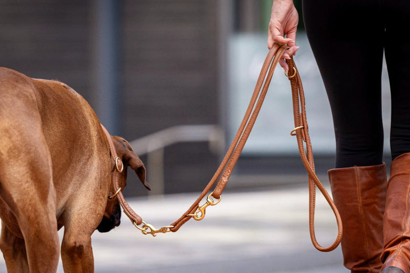 Person mit Hund an brauner Lederleine, schwarze Leggings, braune Stiefel, Hund schaut nach unten, seitlicher Blick.