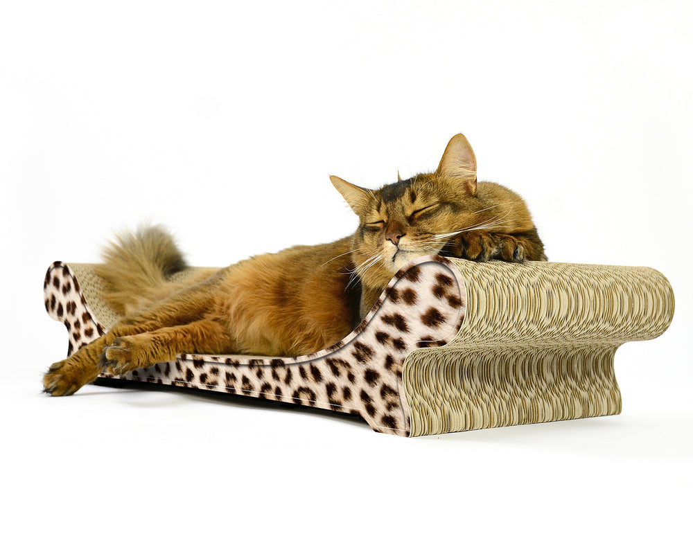 gepard (052) - Bild 2