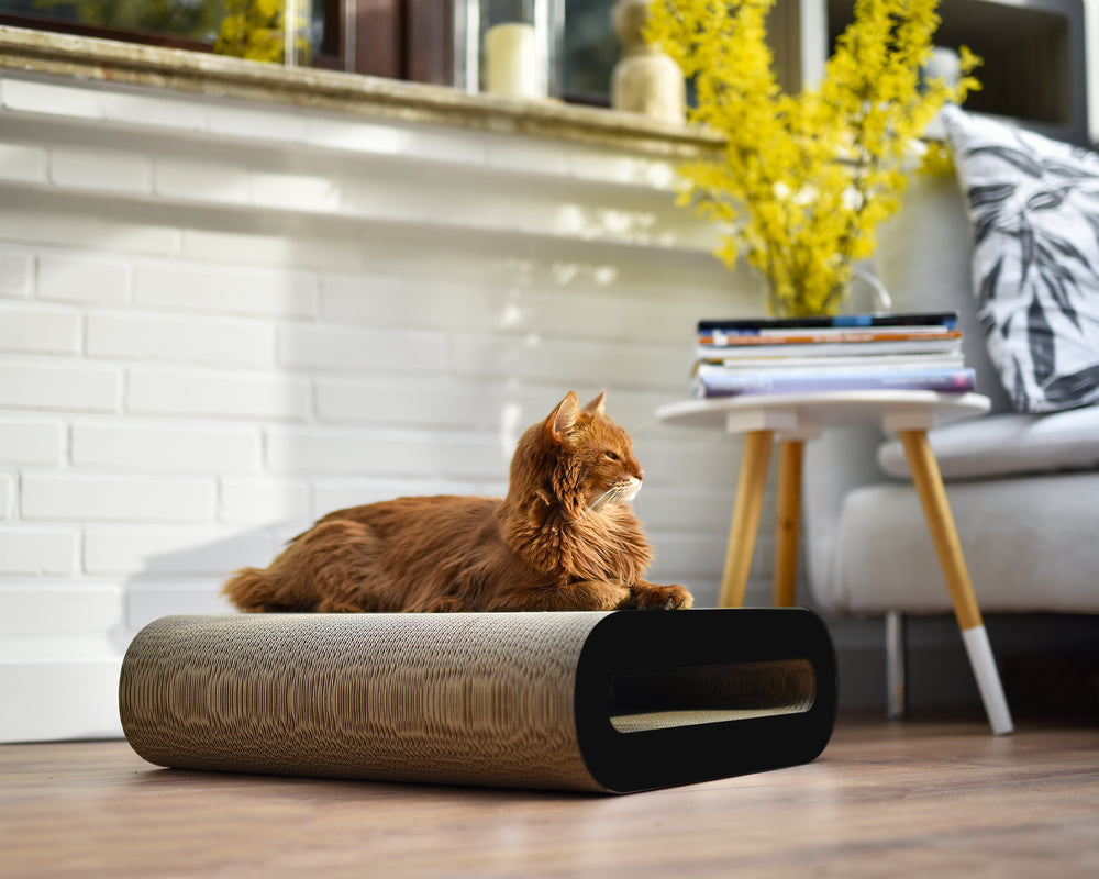 schwarz matt (013x) - Bild 1