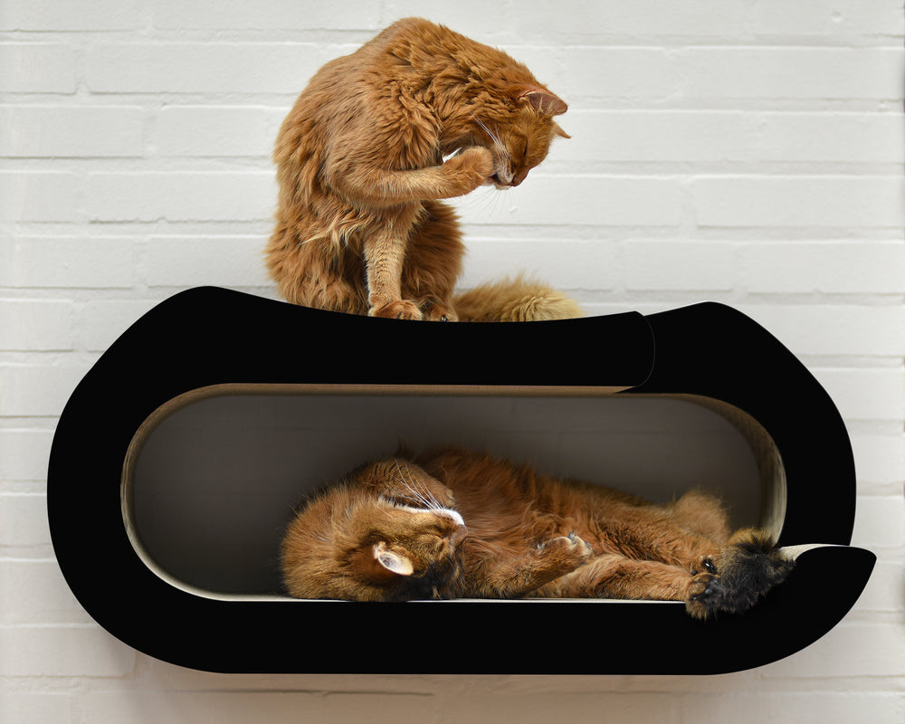 schwarz matt (013x) - Bild 1