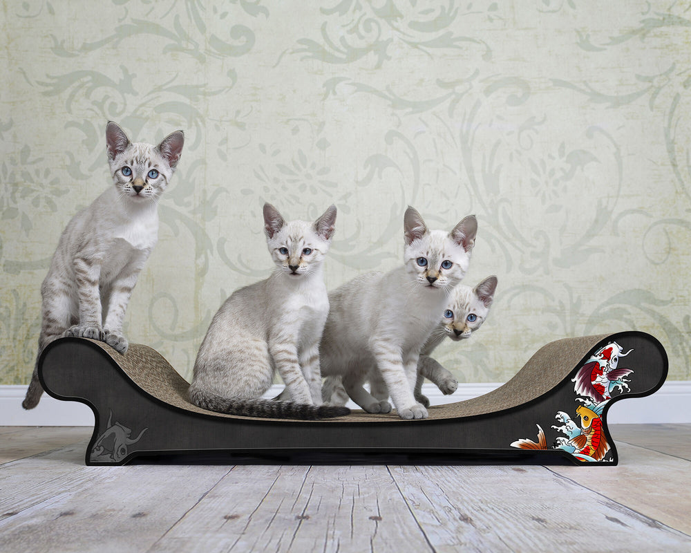 schwarz, Koi (035) - Bild 1