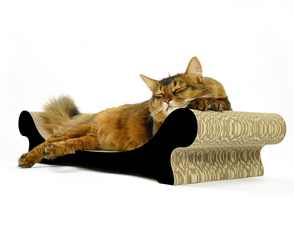 schwarz matt (013x) - Bild 2