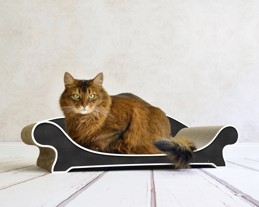 schwarz, weißer Rand (000g) - Bild 2