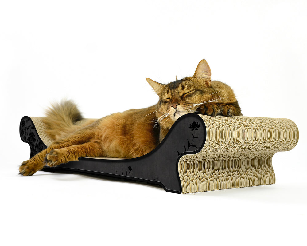 schwarz, schwarze Blumen (013b) - Bild 2