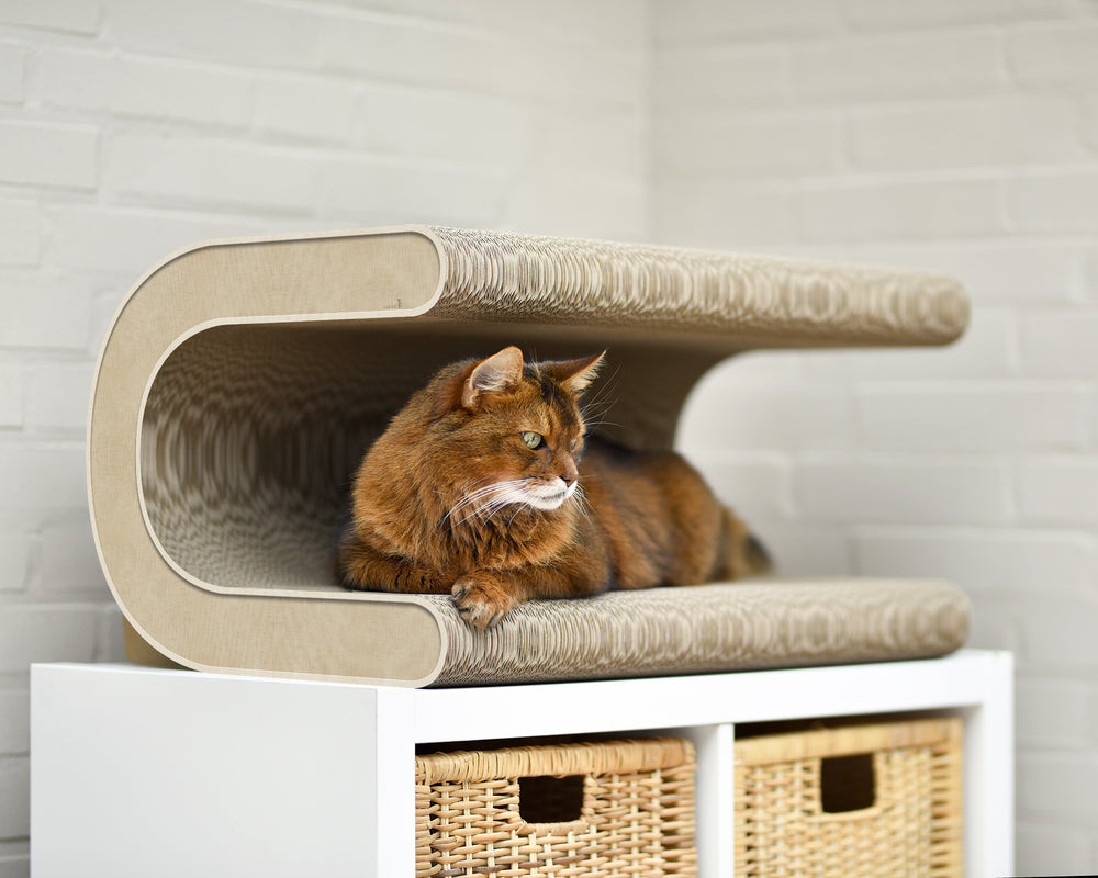 hellbeige (005f) - Bild 1