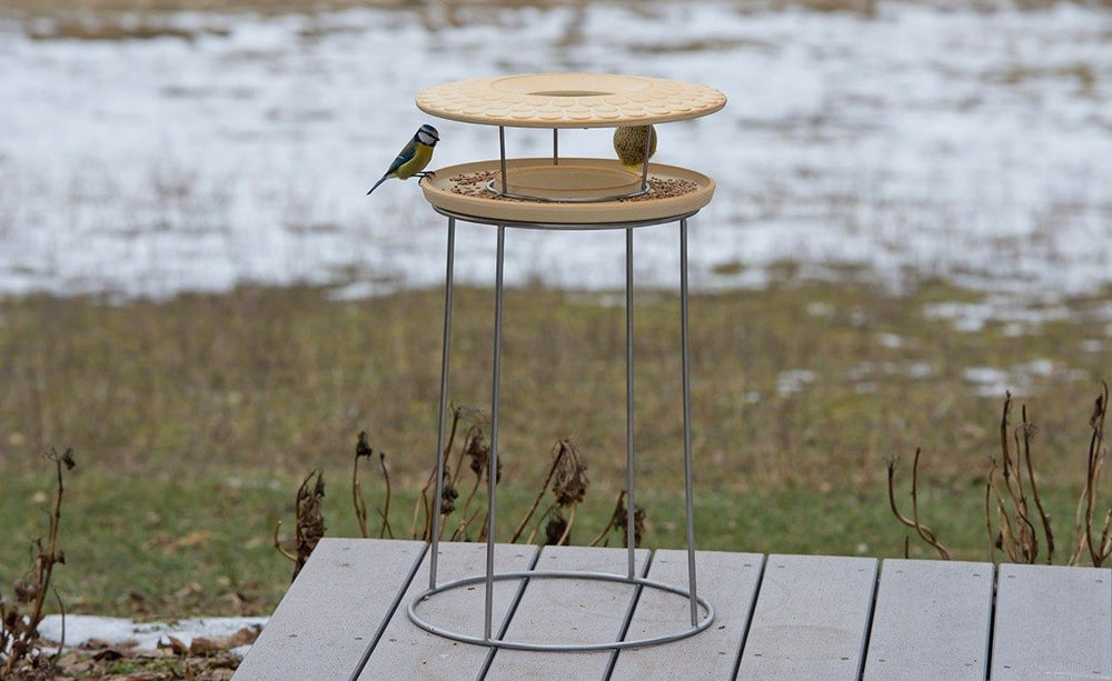Moderner Vogelstand mit Metallgestell und zwei Futterplattformen, besetzt von einer Blaumeise.