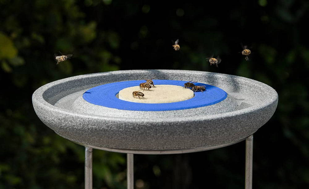 Grauer Insektentrinkbehälter mit blauer Umrandung und flacher Fläche für Insektenstation.