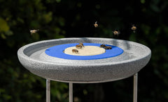 Grauer Insektentrinkbehälter mit blauer Umrandung und flacher Fläche für Insektenstation.