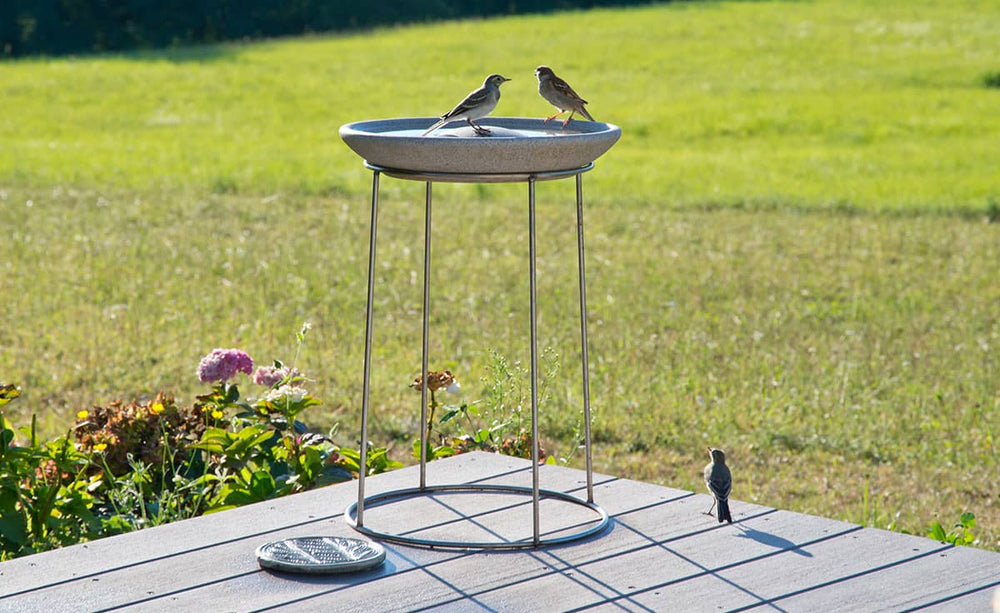 Ständer für die Vogeltränke mit runder Schüssel, darauf sitzen zwei Vögel, während ein dritter im Wasser planscht.