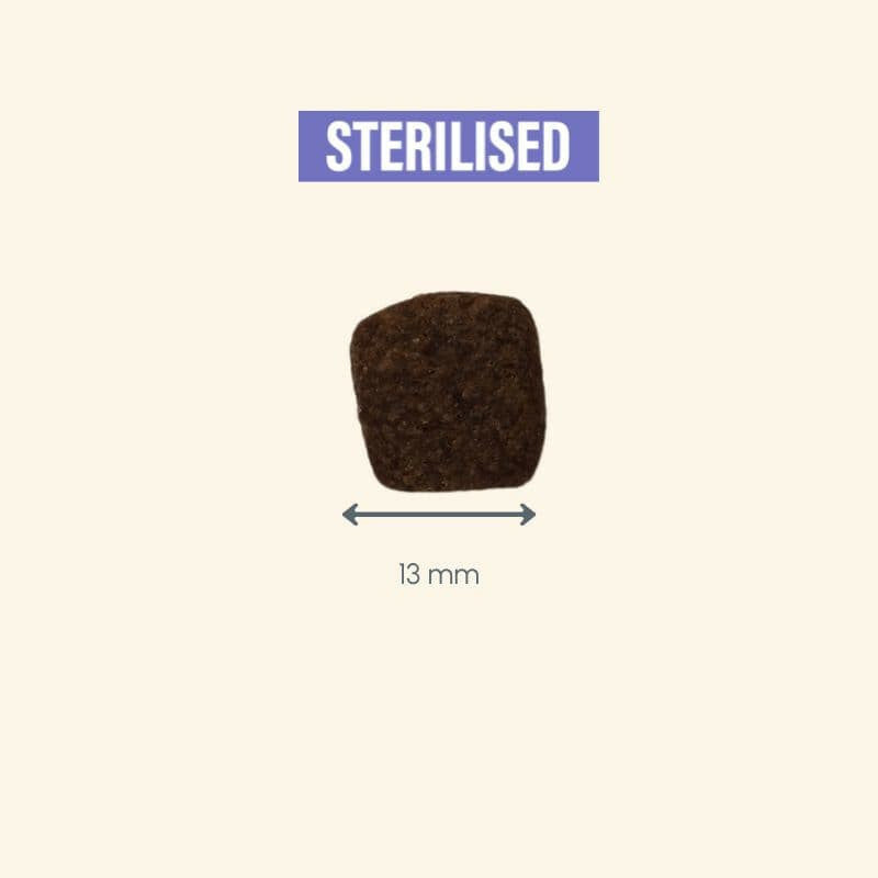 Braunes quadratisches Stück mit dem Wort "STERILISED" in Großbuchstaben auf hellem Hintergrund.