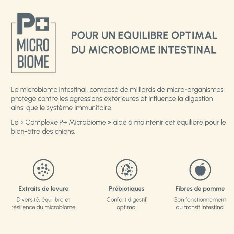 "Complexe P+ Microbiome für Hunde zur Unterstützung des Darmmikrobioms mit Präbiotika und Hefextrakten."
