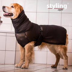 Golden Retriever mit schwarzem Hundemantel und Kapuze in einem Badezimmer mit weißen Fliesen.