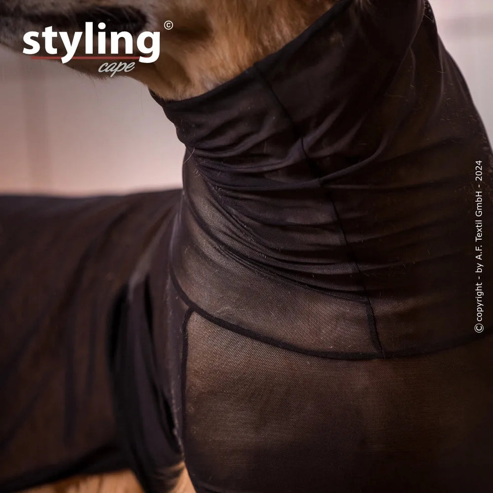 Hund im eleganten, engen schwarzen Styling-Cape mit glänzendem Stoff, Fokus auf Hals- und Schulterbereich.