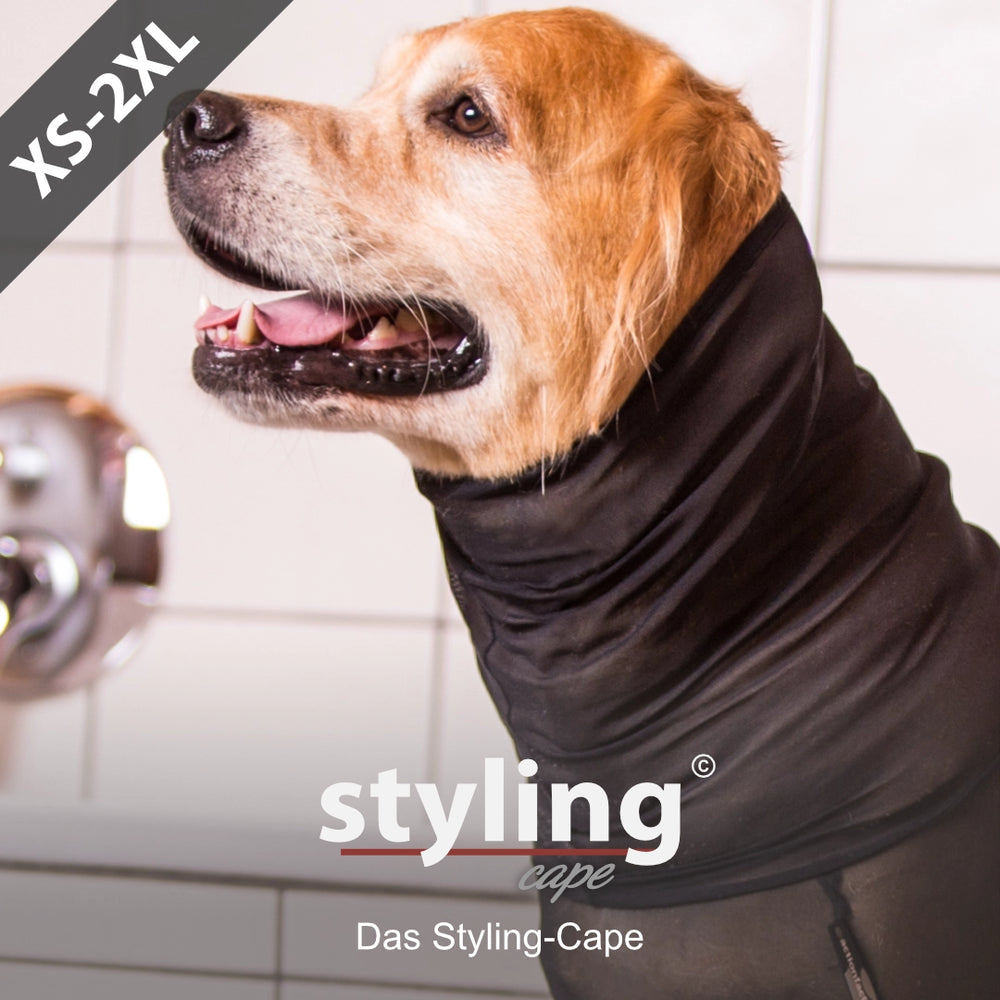 Hund trägt schwarzes Styling-Cape, das den Halsbereich schützt und stilvoll aussieht.