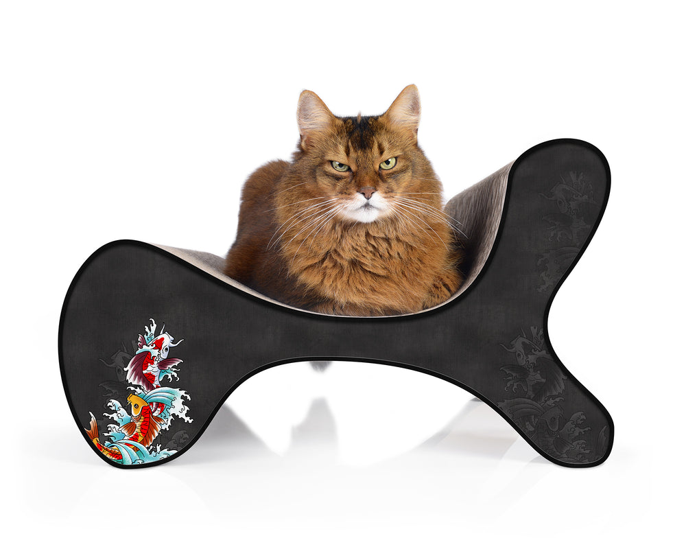 schwarz, Koi (035) - Bild 3