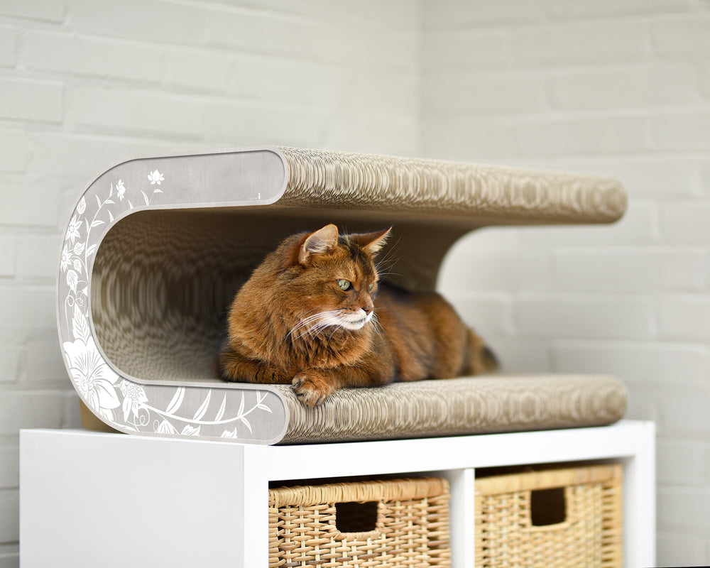 grau, weiße Blumen (019) - Bild 1