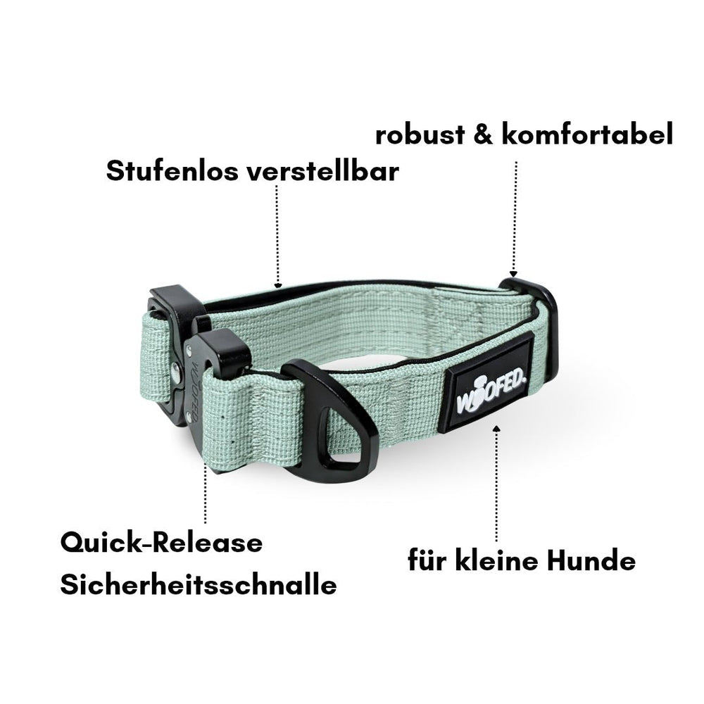 Mintgrünes Nylon-Halsband mit Griff für kleine Hunde, stufenlos verstellbar und mit Sicherheitsgurtschnalle.