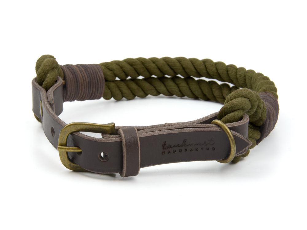 Geflochtenes grünes Hundehalsband mit braunem Leder und metallener Schnalle, beschriftet mit „tanuki“.