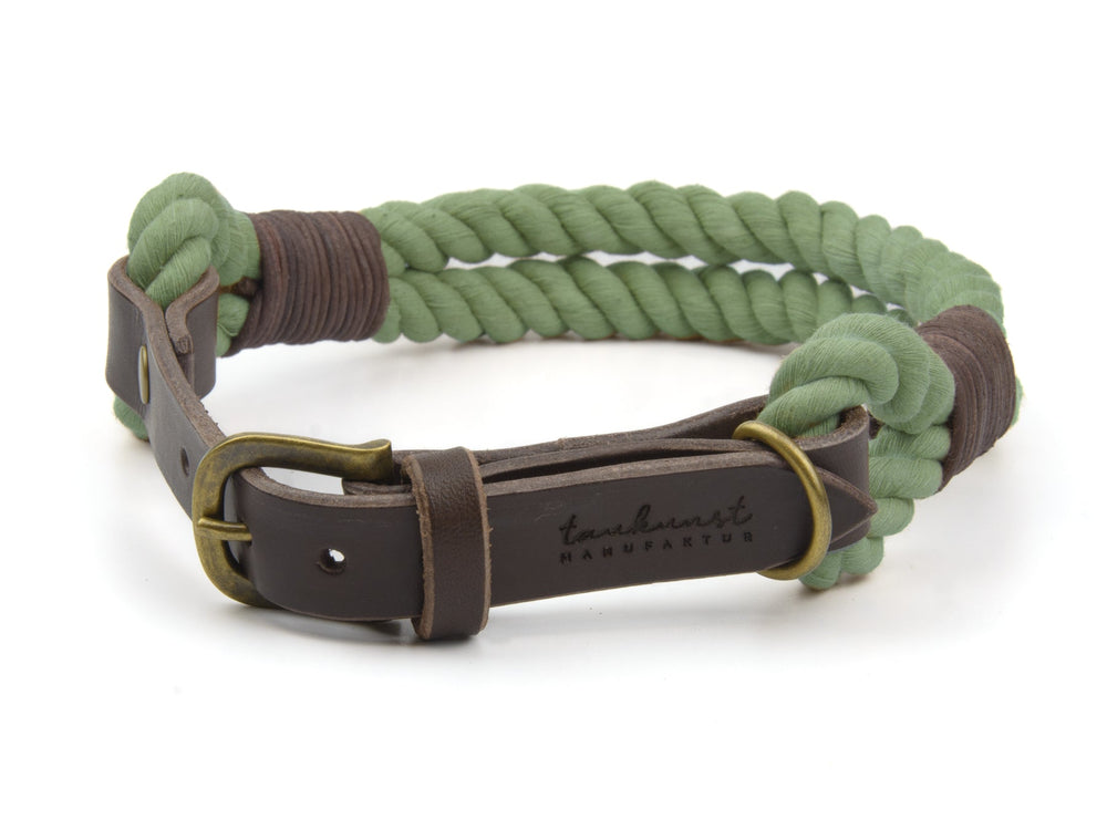 Grünes geflochtenes Hundehalsband mit braunem Leder und Metallschnalle, robust und stilvoll.